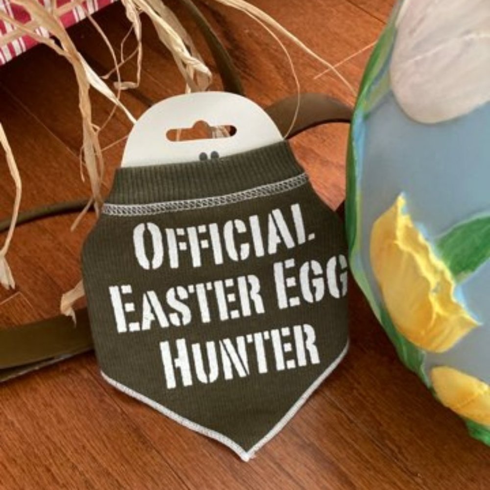 I See Spot Easter Pet Bandana